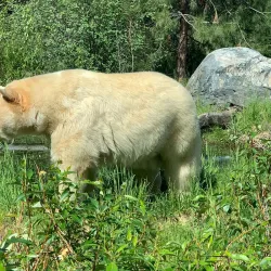 Kamloops Wildlife Park - Kamloops