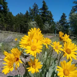 Kenna Cartwright Park - Kamloops