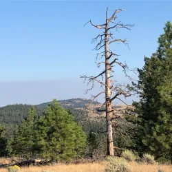 Kenna Cartwright Park - Kamloops