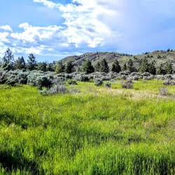 Kenna Cartwright Park - Kamloops