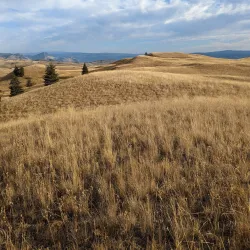 Lac du Bois Grasslands Protected Area - Kamloops