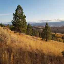 Lac du Bois Grasslands Protected Area - Kamloops