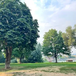 Pioneer Park - Kamloops