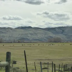 Tranquille Farm Fresh - Kamloops