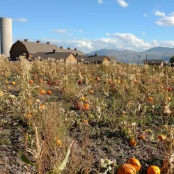 Tranquille Farm Fresh - Kamloops