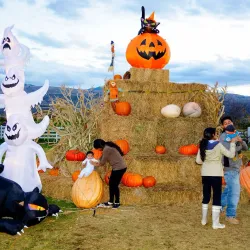 Tranquille Farm Fresh - Kamloops