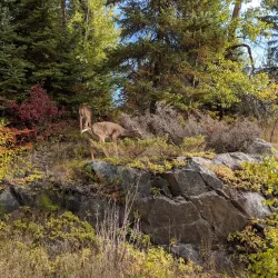 Kenora Golf and Country Club - Kenora