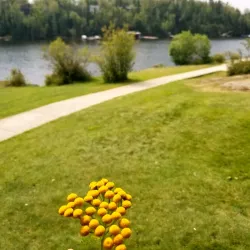 Kenora Golf and Country Club - Kenora