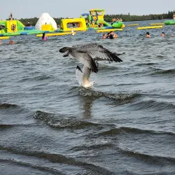 Kenora Waterfront Park - Kenora