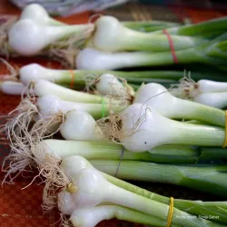 Kimberley Farmers Market - Kimberley