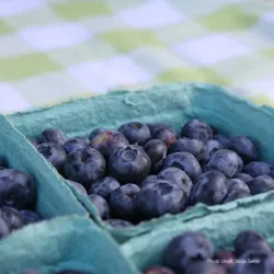 Kimberley Farmers Market - Kimberley