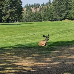 Kimberley Golf Club - Kimberley