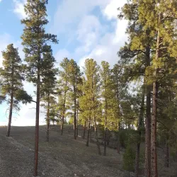 Kimberley Golf Club - Kimberley