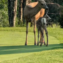 Kimberley Golf Club - Kimberley