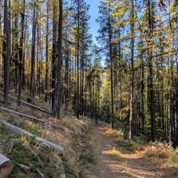 Kimberley Nature Park - Kimberley