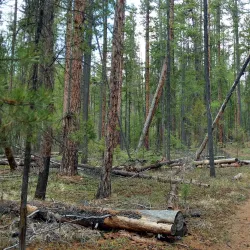 Kimberley Nature Park - Kimberley