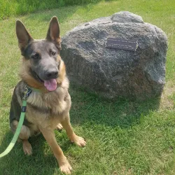 Kindersley Heritage Walking Tour - Kindersley