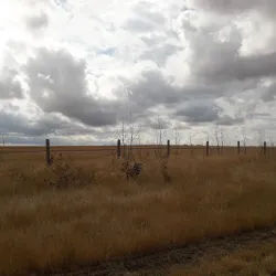 Kindersley Heritage Walking Tour - Kindersley