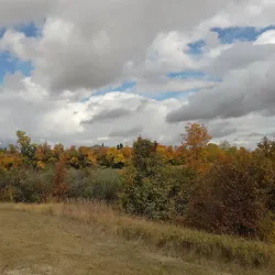 Kindersley Heritage Walking Tour - Kindersley