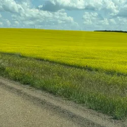 Kindersley Museum - Kindersley