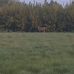 Kindersley Regional Park - Kindersley