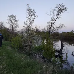 Kindersley Regional Park - Kindersley