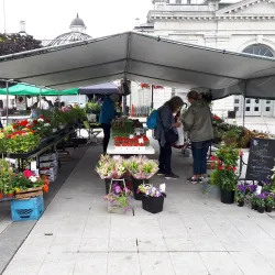 Kingston Public Market - Kingston