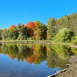 Huron Natural Area - Kitchener