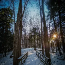 Huron Natural Area - Kitchener