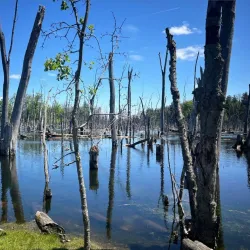 Huron Natural Area - Kitchener