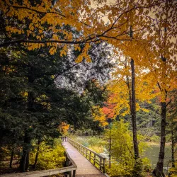 Huron Natural Area - Kitchener