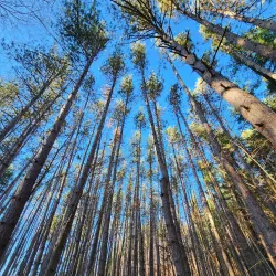 Huron Natural Area - Kitchener