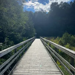 Huron Natural Area - Kitchener