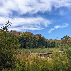 Huron Natural Area - Kitchener