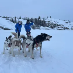 Northern Lights Viewing - Kugluktuk