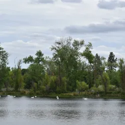 Fishing Spots in Local Rivers and Lakes - La Dore