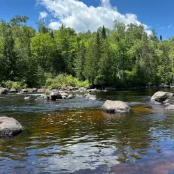 Parc régional de la Forêt Ouareau - La Dore