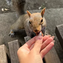 La Patrie Community Park - La Patrie