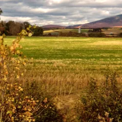 La Patrie Village - La Patrie