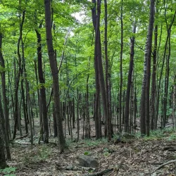 Parc des Sommets - La Patrie