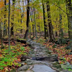 Parc des Sommets - La Patrie