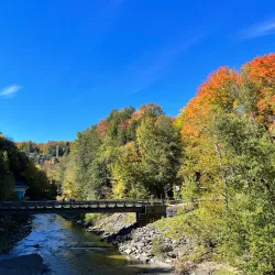 Parc régional de la Gorge de Coaticook - La Patrie