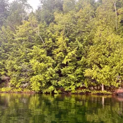 Gatineau Park - La Peche