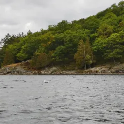 Gatineau Park - La Peche