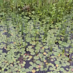 La Pêche Village - La Peche