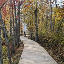 Plaisance National Park - La Peche