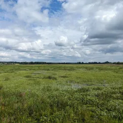 Plaisance National Park - La Peche