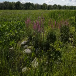 Plaisance National Park - La Peche