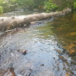 Greenwich Bay Trail - Labrador City