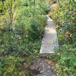 Greenwich Bay Trail - Labrador City